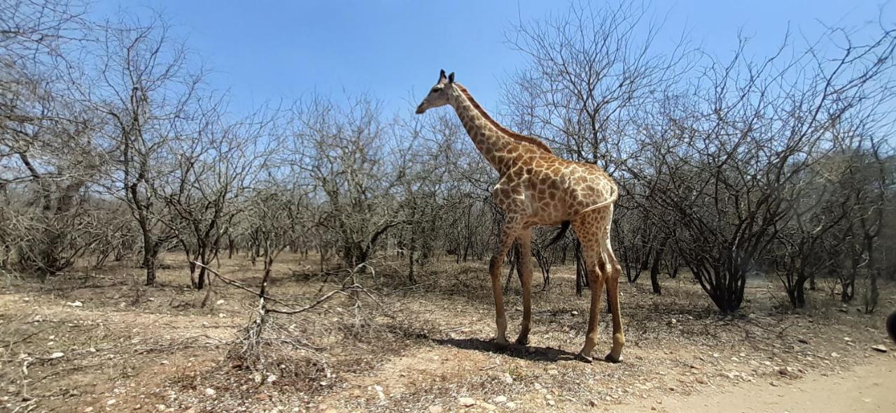 Kruger Riverside Lodge - No Load-Shedding Marloth Park Exterior foto