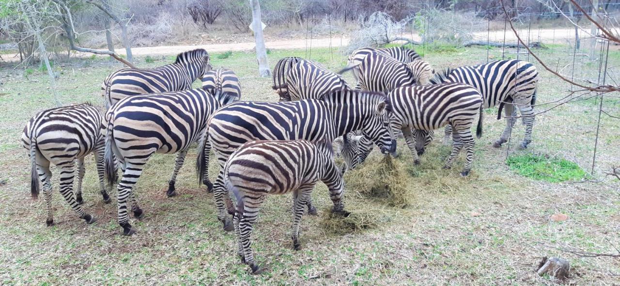 Kruger Riverside Lodge - No Load-Shedding Marloth Park Exterior foto