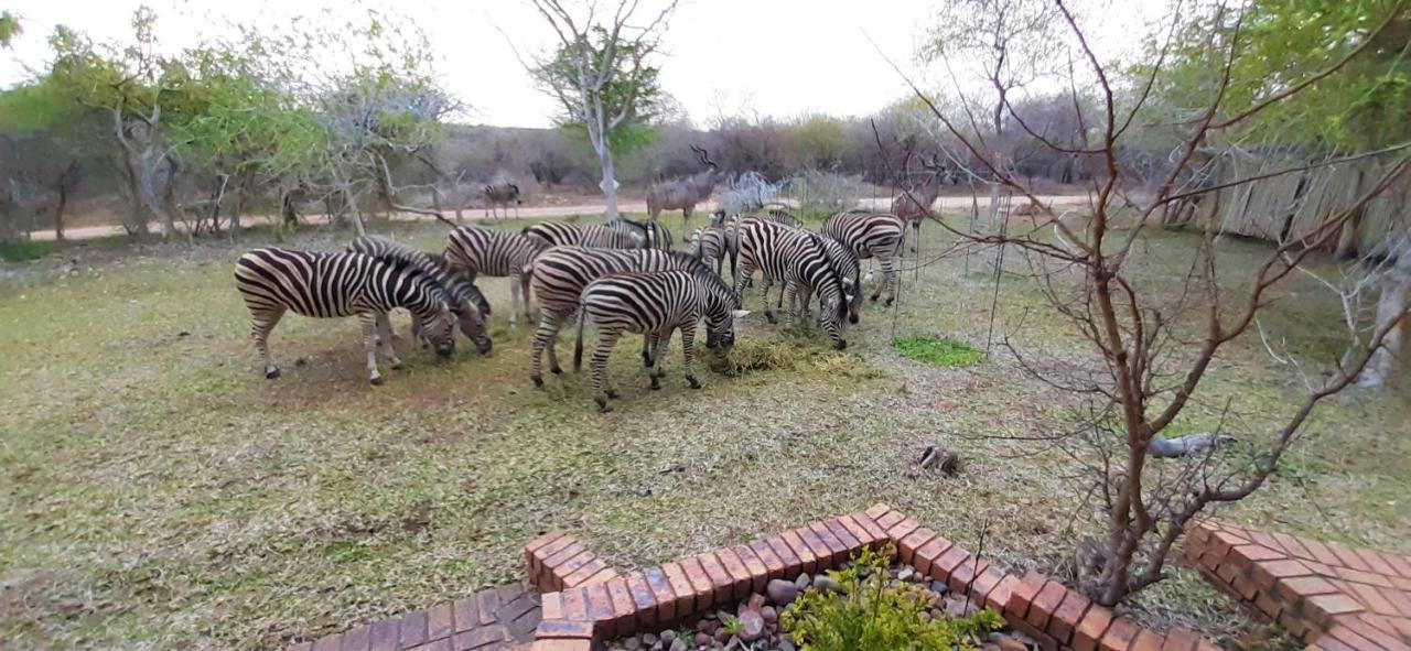 Kruger Riverside Lodge - No Load-Shedding Marloth Park Exterior foto