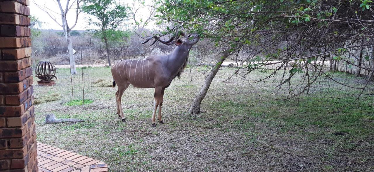 Kruger Riverside Lodge - No Load-Shedding Marloth Park Exterior foto