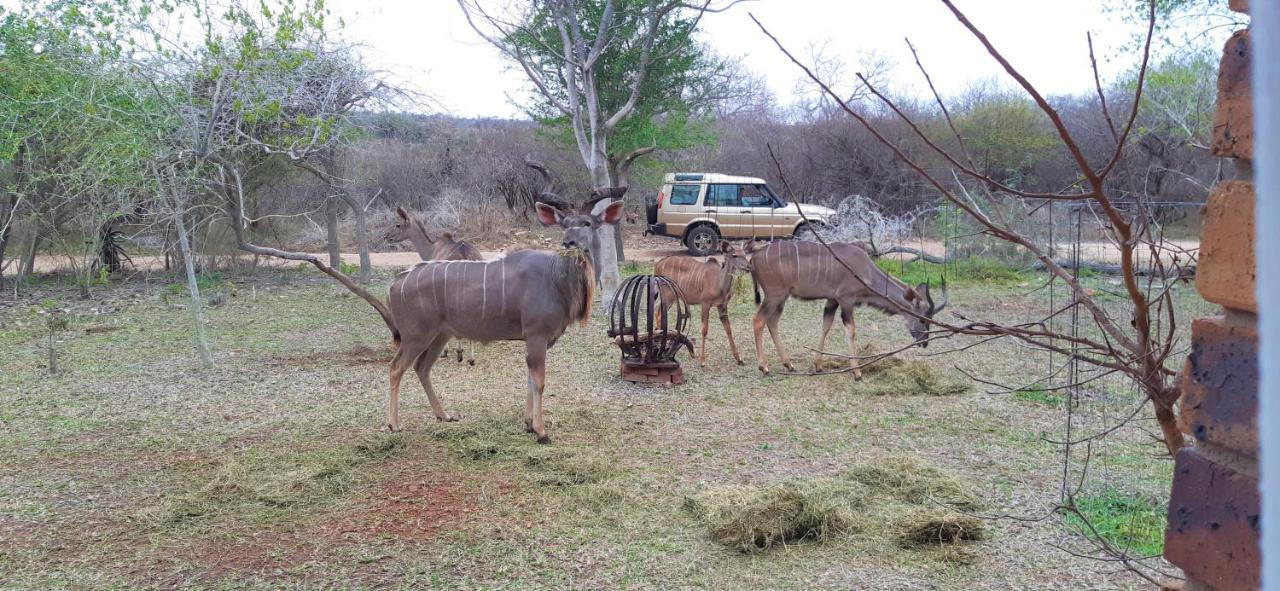Kruger Riverside Lodge - No Load-Shedding Marloth Park Exterior foto
