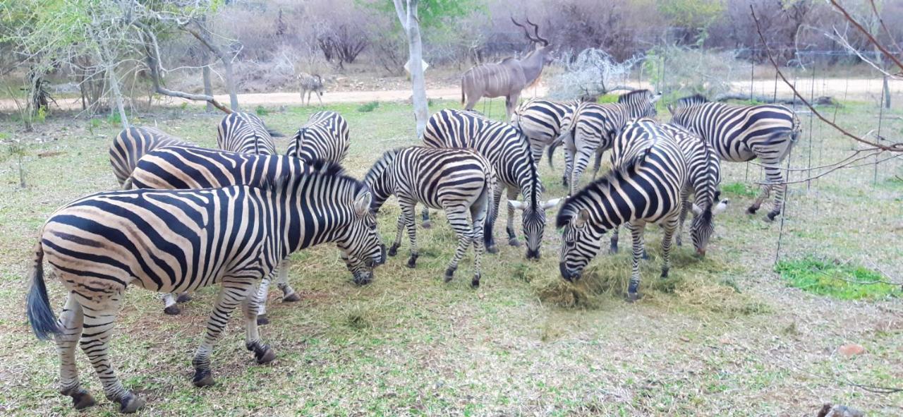 Kruger Riverside Lodge - No Load-Shedding Marloth Park Exterior foto