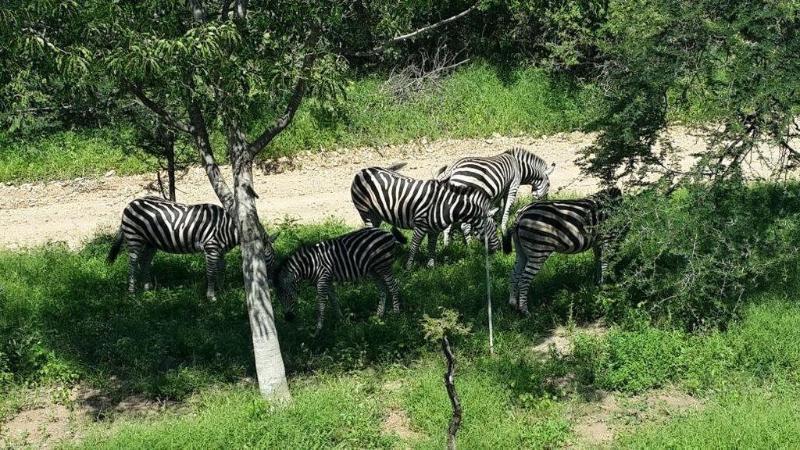 Kruger Riverside Lodge - No Load-Shedding Marloth Park Exterior foto